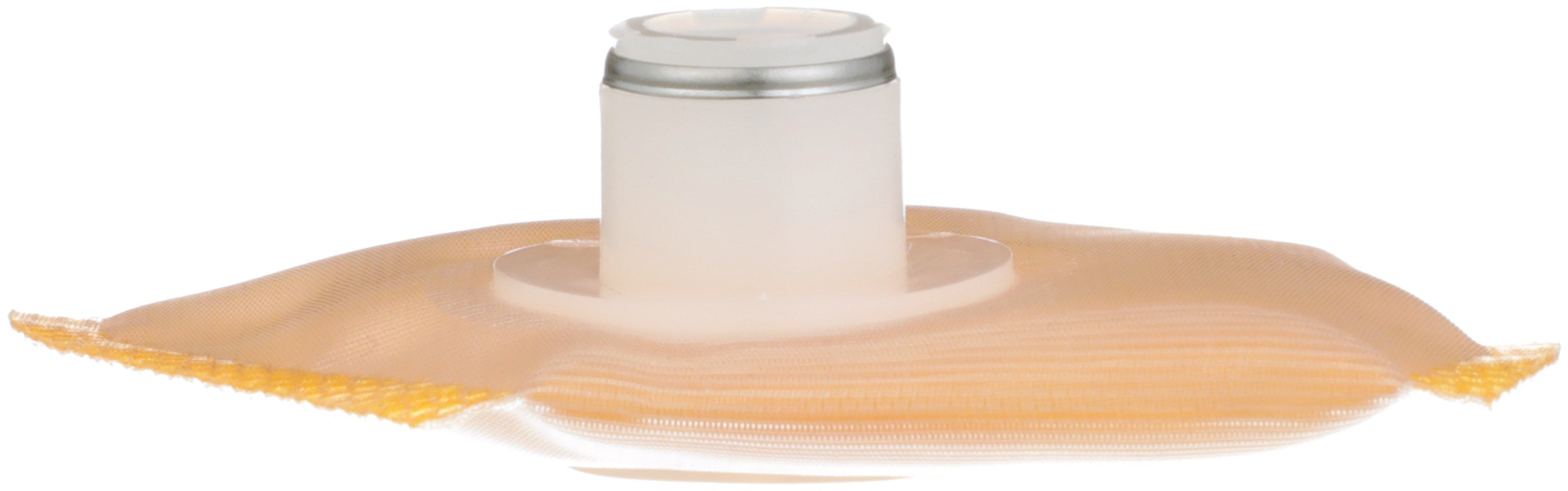 Delphi PN7025 Fuel Pump Strainer - Image 2