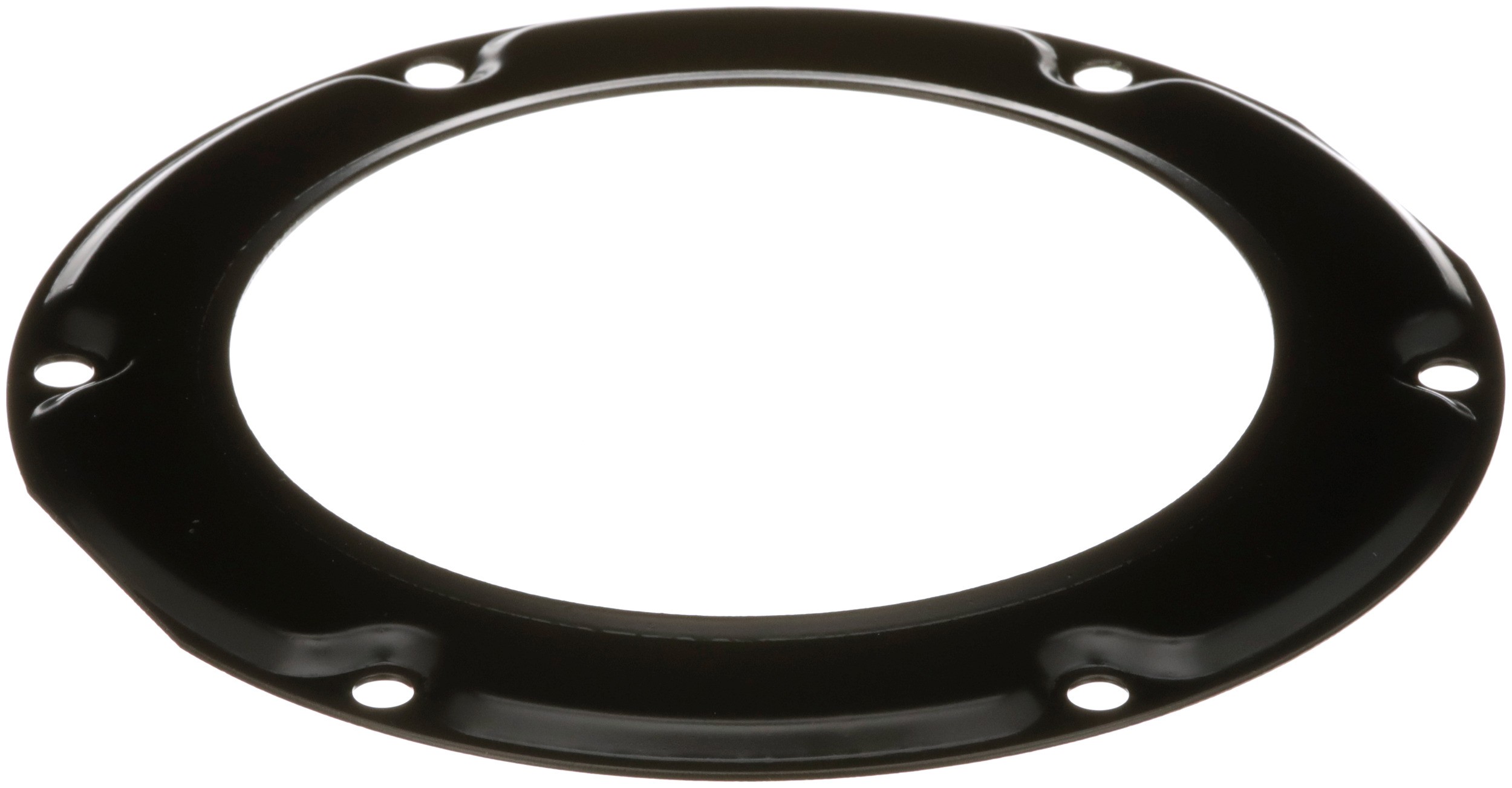 Delphi PN9007 Fuel Tank Lock Ring