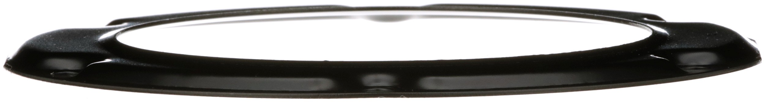 Delphi PN9007 Fuel Tank Lock Ring - Image 2