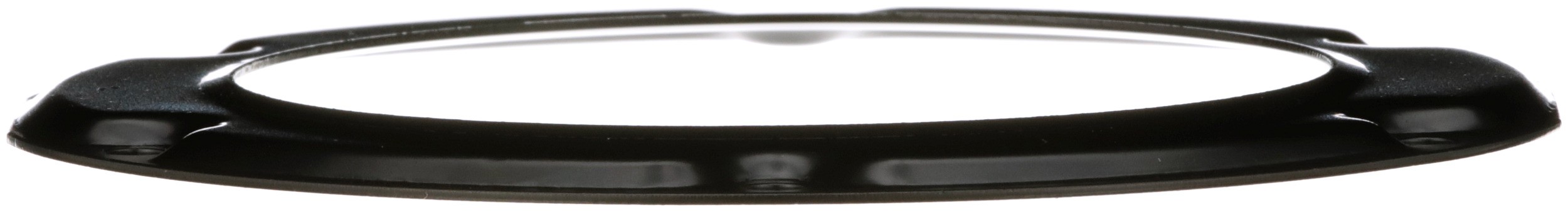 Delphi PN9007 Fuel Tank Lock Ring - Image 4