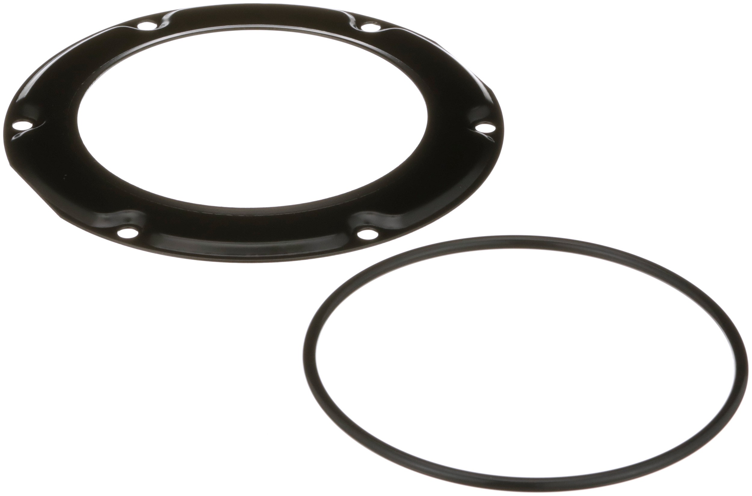 Delphi PN9007 Fuel Tank Lock Ring - Image 5