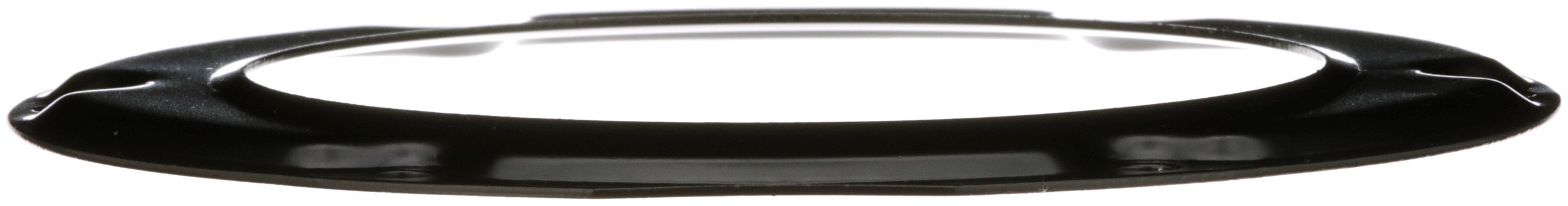 Delphi PN9007 Fuel Tank Lock Ring - Image 6