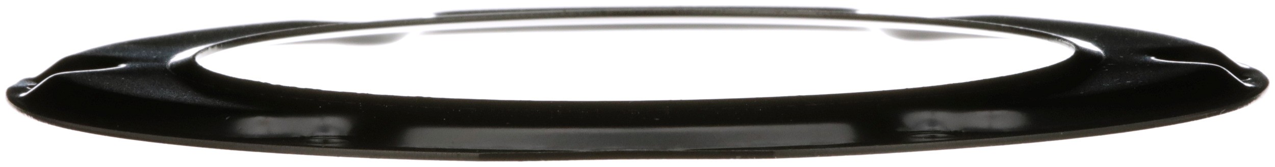 Delphi PN9007 Fuel Tank Lock Ring - Image 7