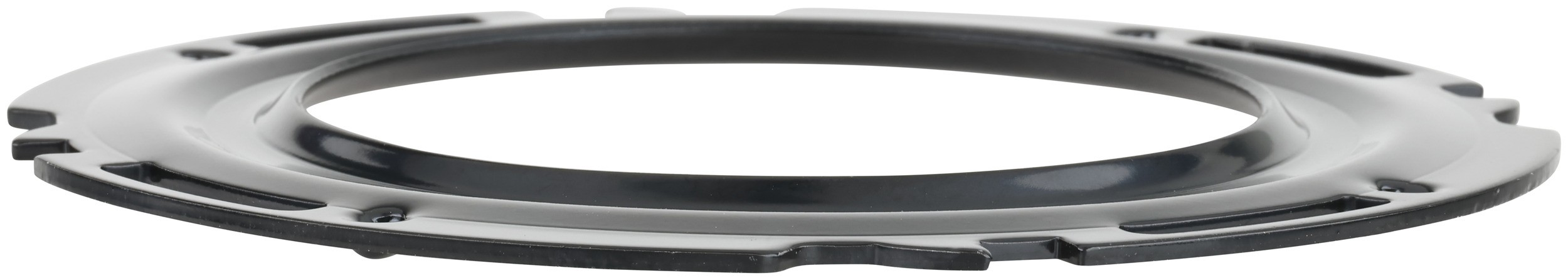 Delphi PN9015 Fuel Tank Lock Ring - Image 2