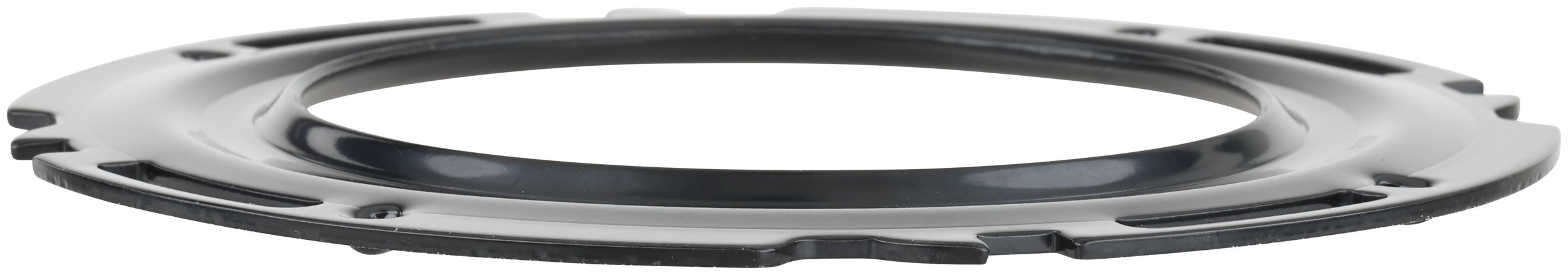 Delphi PN9015 Fuel Tank Lock Ring - Image 4