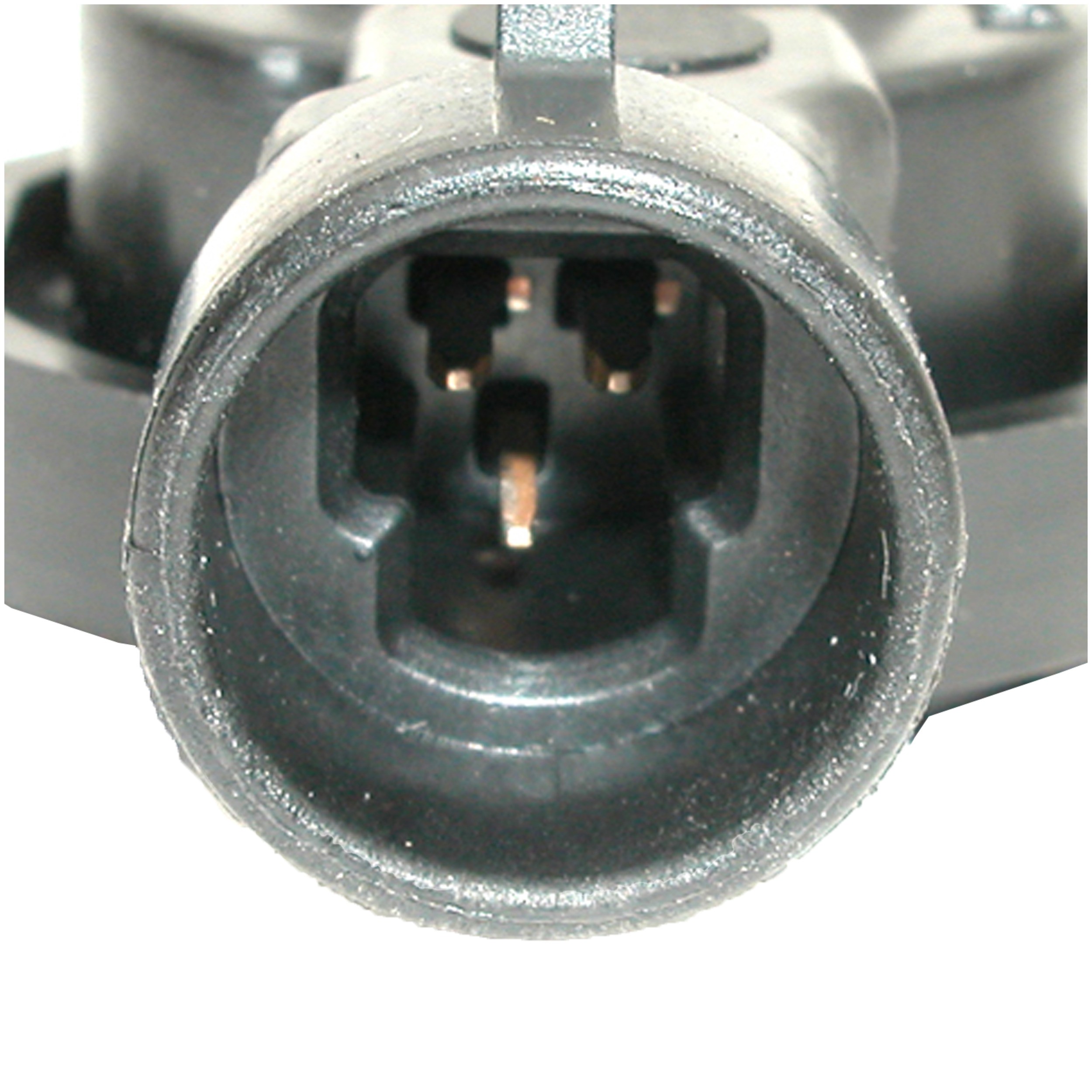 Delphi SS10465 Throttle Position Sensor - Image 4