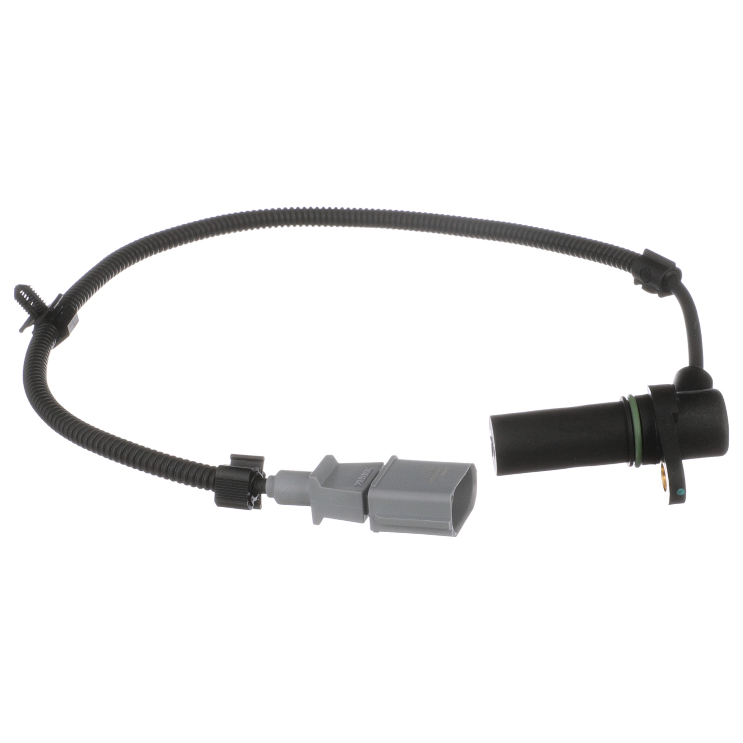 Delphi SS11338 Engine Crankshaft Position Sensor