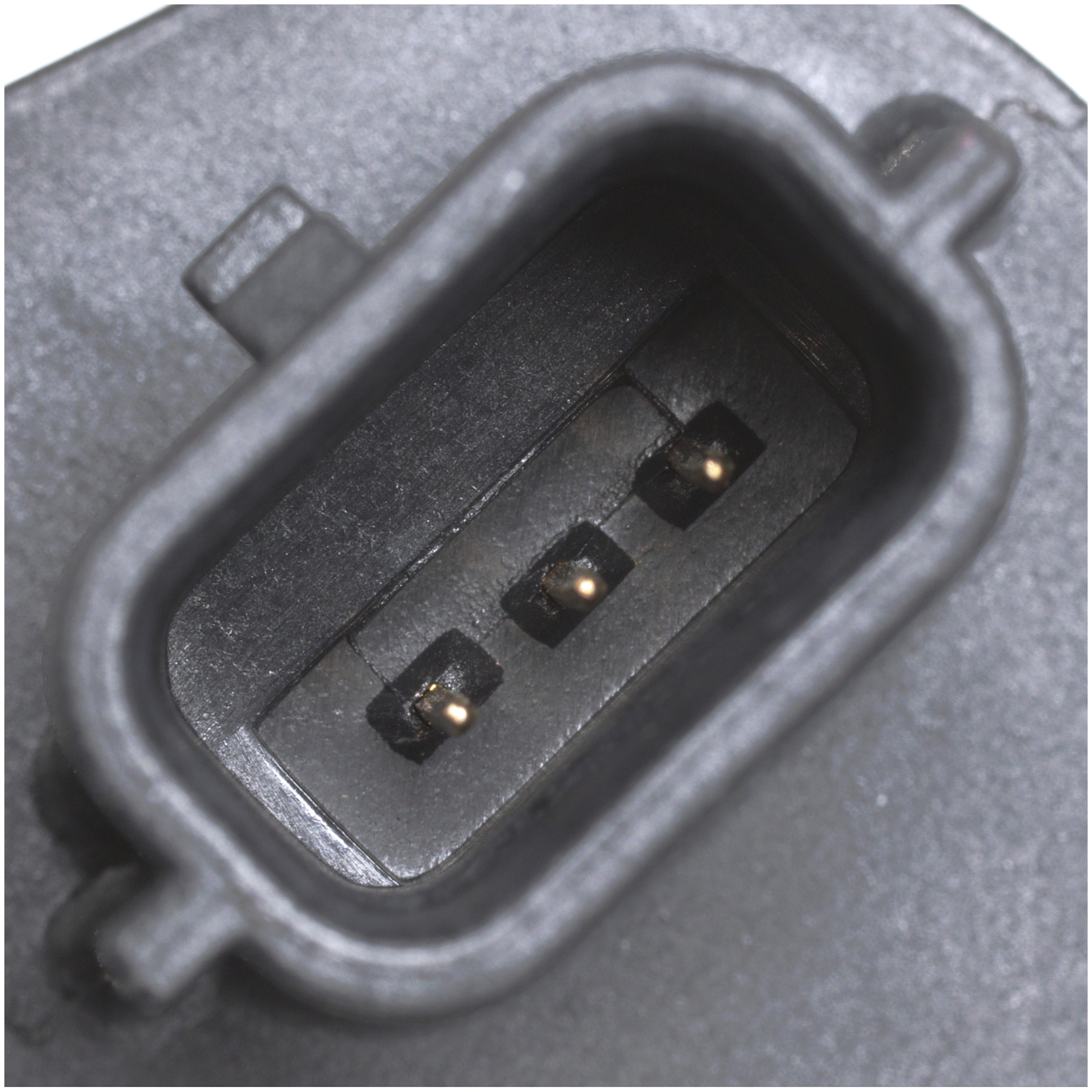 Delphi SS11997 Engine Crankshaft Position Sensor - Image 4