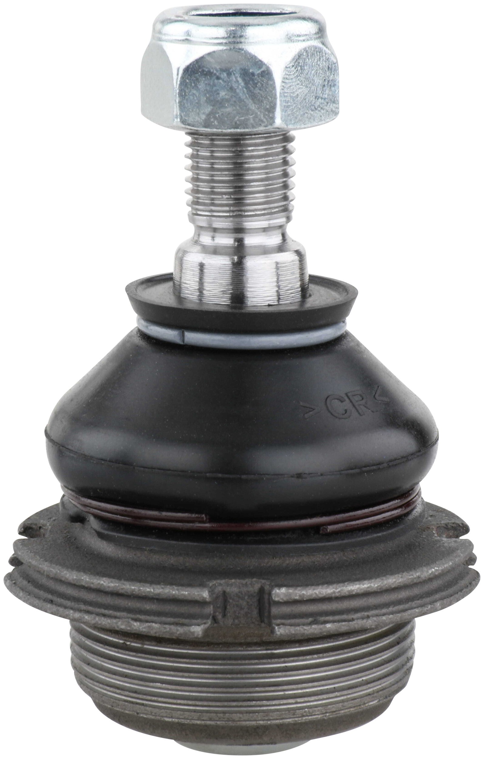 Delphi TC281 Suspension Ball Joint - Image 5