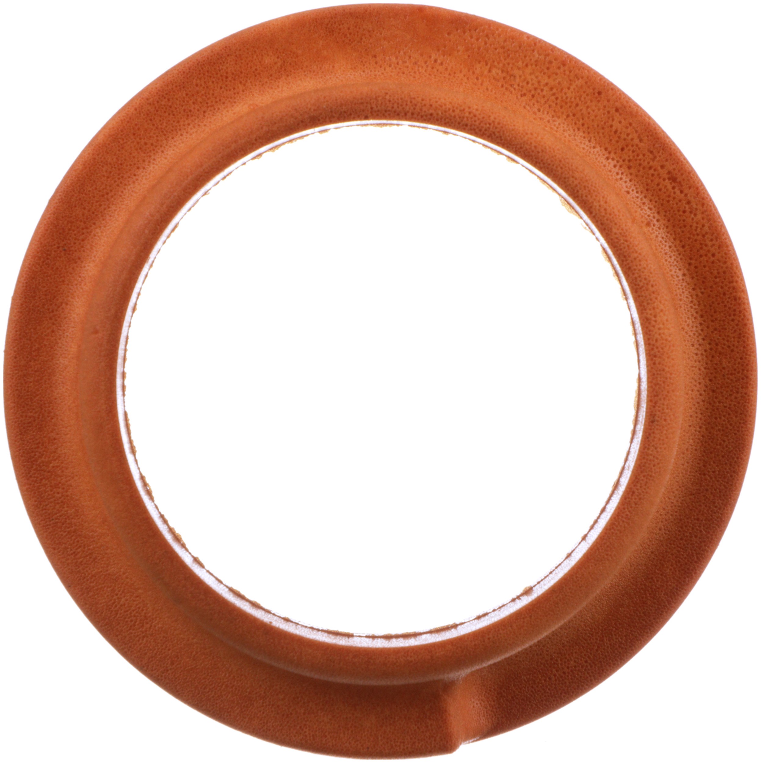 Delphi TC6465 Suspension Coil Spring Seat