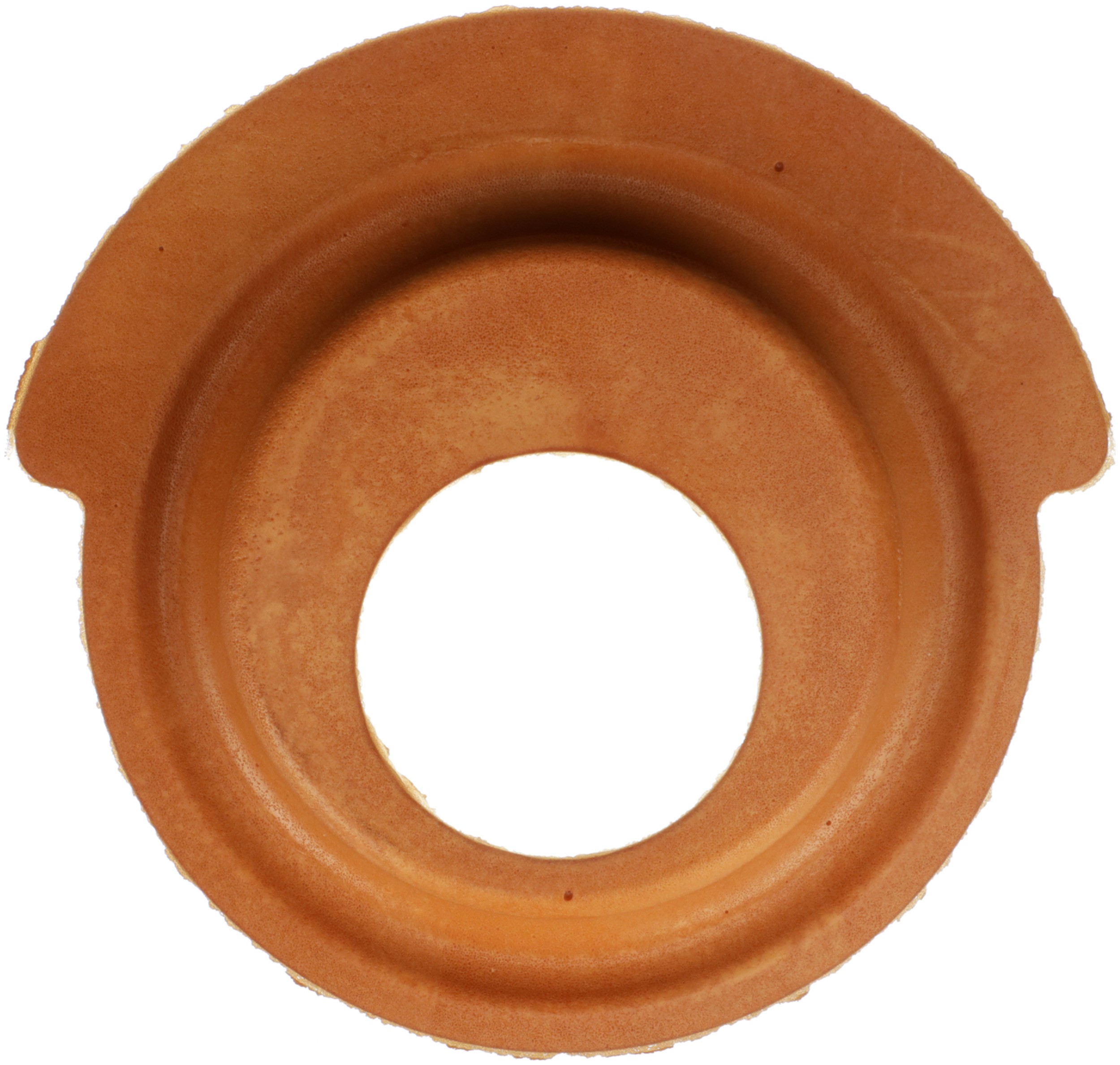 Delphi TC6475 Suspension Coil Spring Seat - Image 4