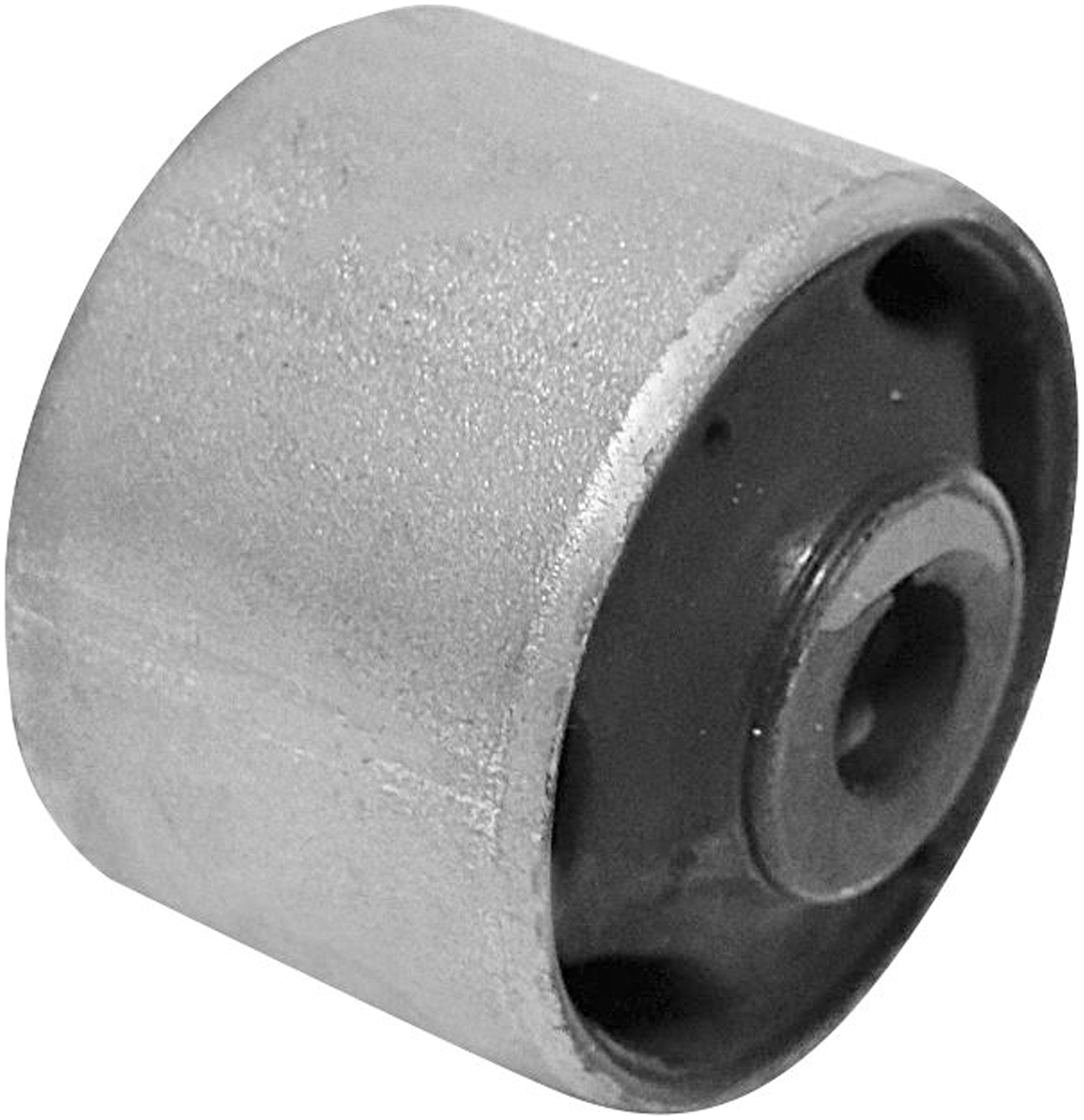 Delphi TD1983W Suspension Trailing Arm Bushing