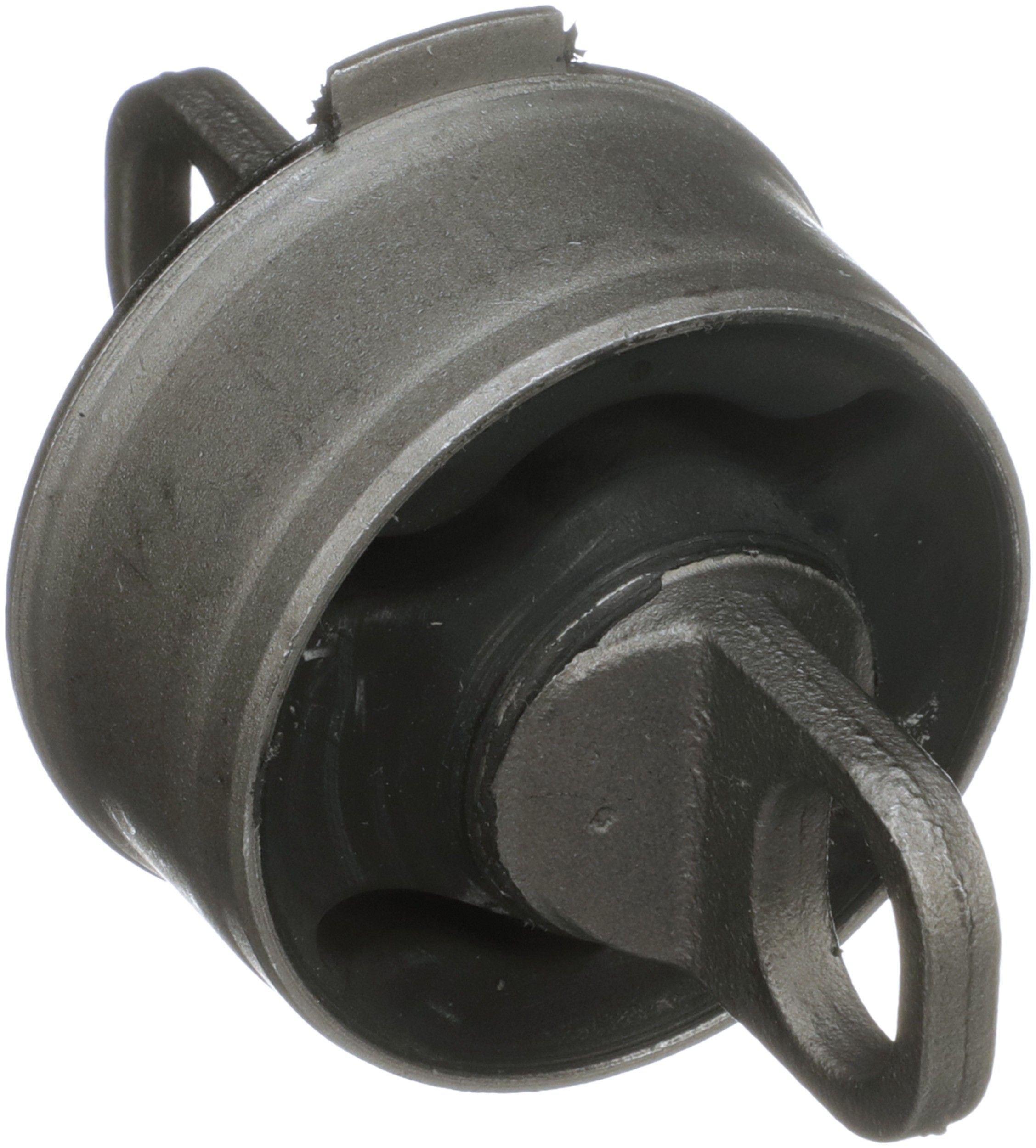 Delphi TD4798W Suspension Trailing Arm Bushing