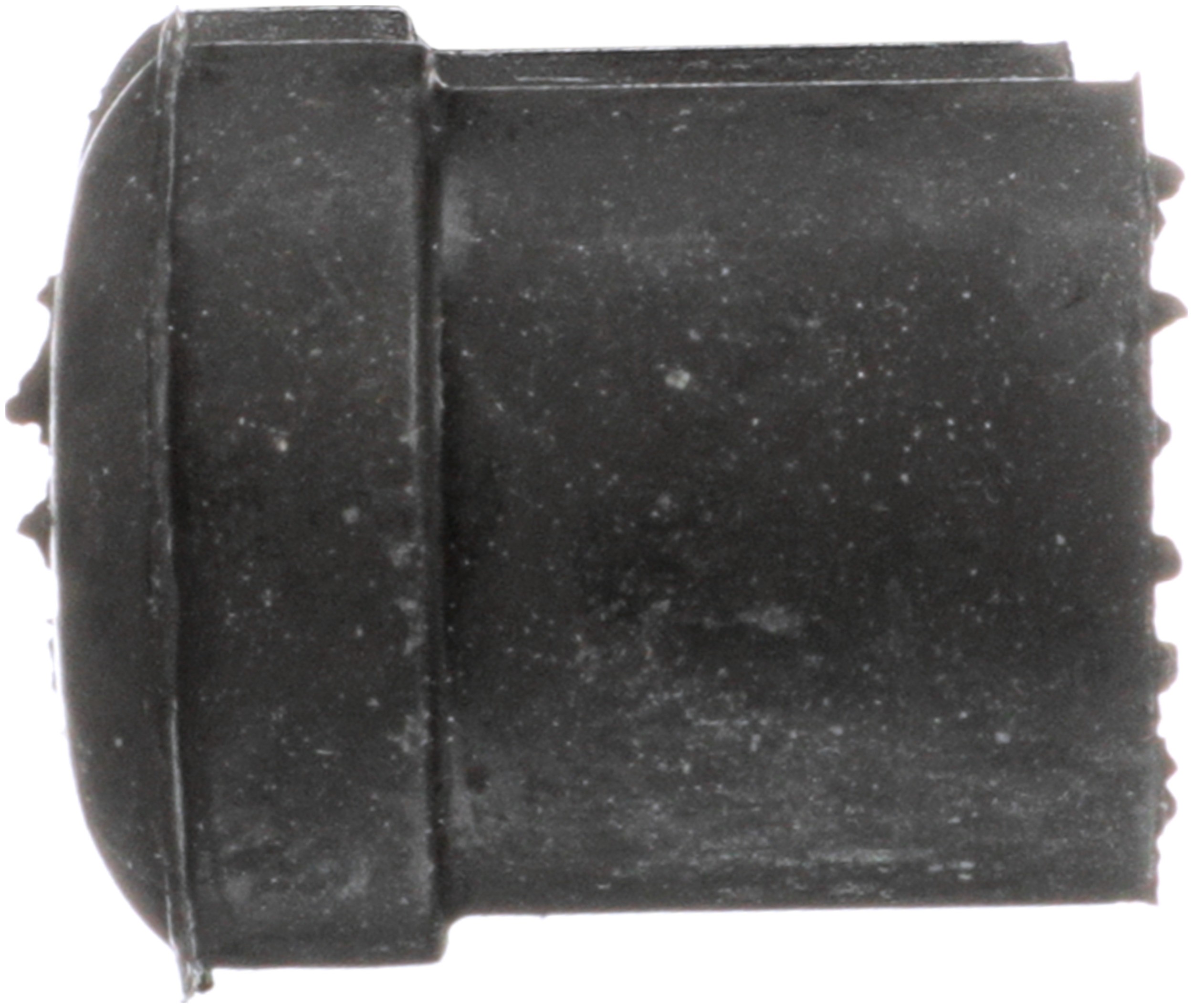 Delphi TD4872W Leaf Spring Bushing - Image 5