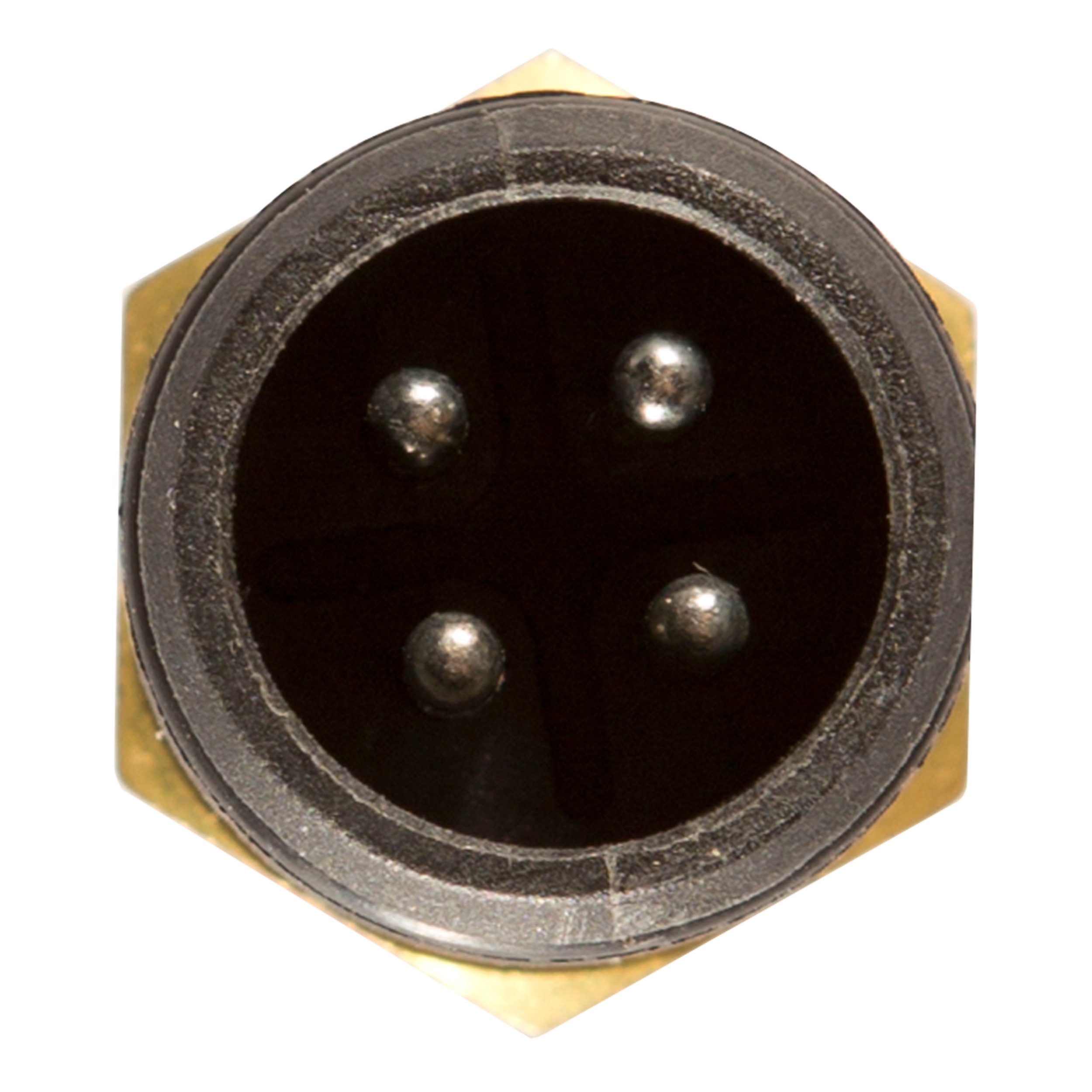 Delphi TS10263 Engine Coolant Temperature Sensor - Image 2