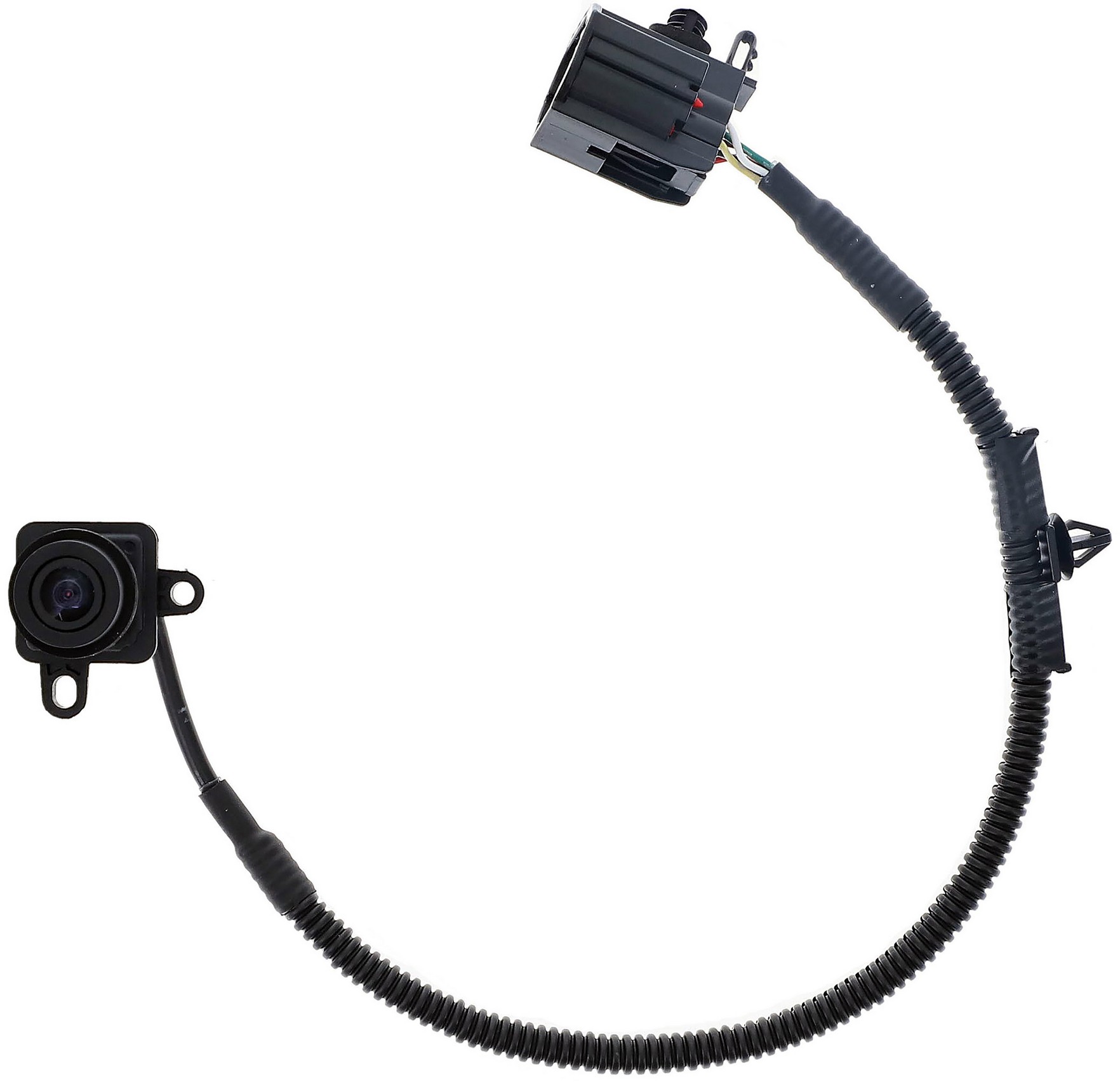 Dorman DOR-590-078 Park Assist Camera - Image 4