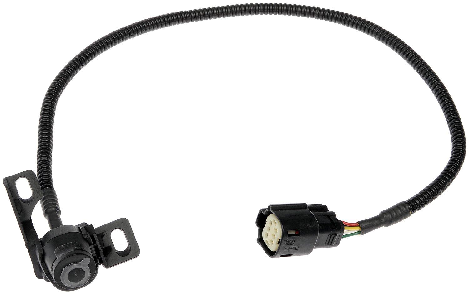 Dorman DOR-590-081 Park Assist Camera