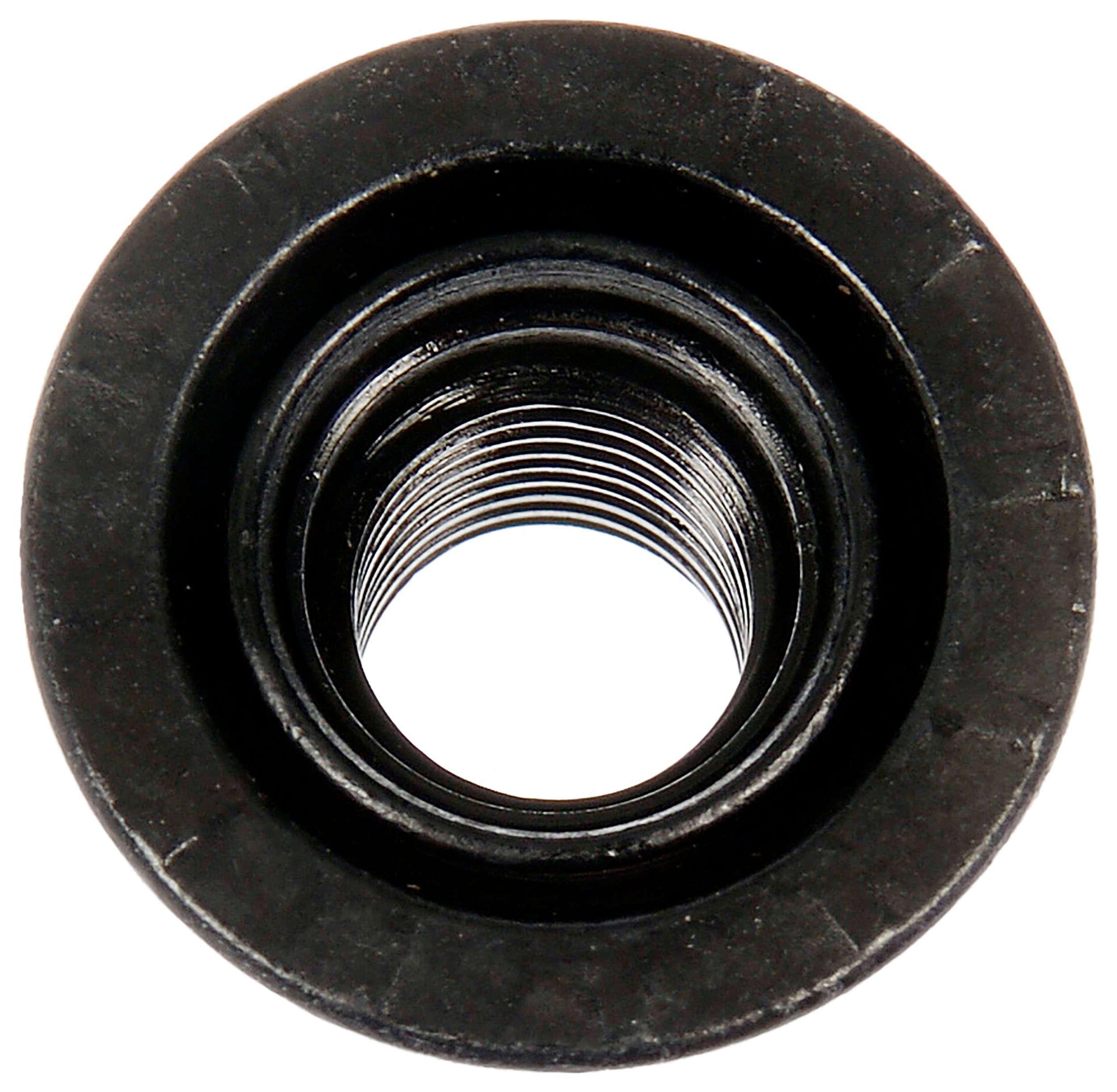 Dorman DOR-611-172 Wheel Nut M12-1.75 Flanged Flat Face - 19mm Hex, 22.5mm Length - Image 2