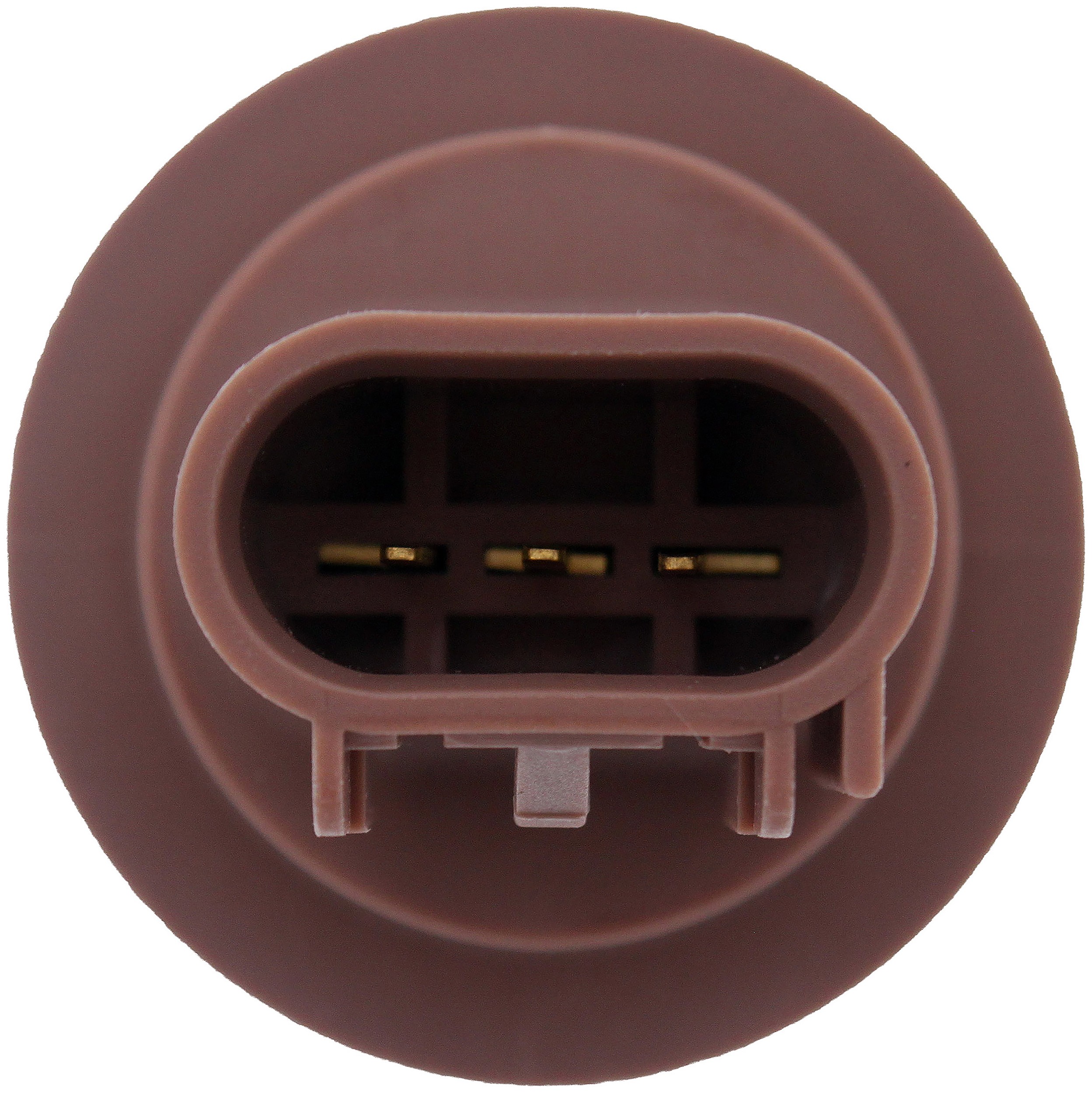 Dorman DOR-645-121 Park And Turn Signal Socket - Image 3