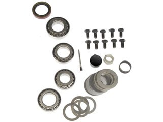 Dorman DOR-697-100 Ring And Pinion Master Bearing And Installation Kit
