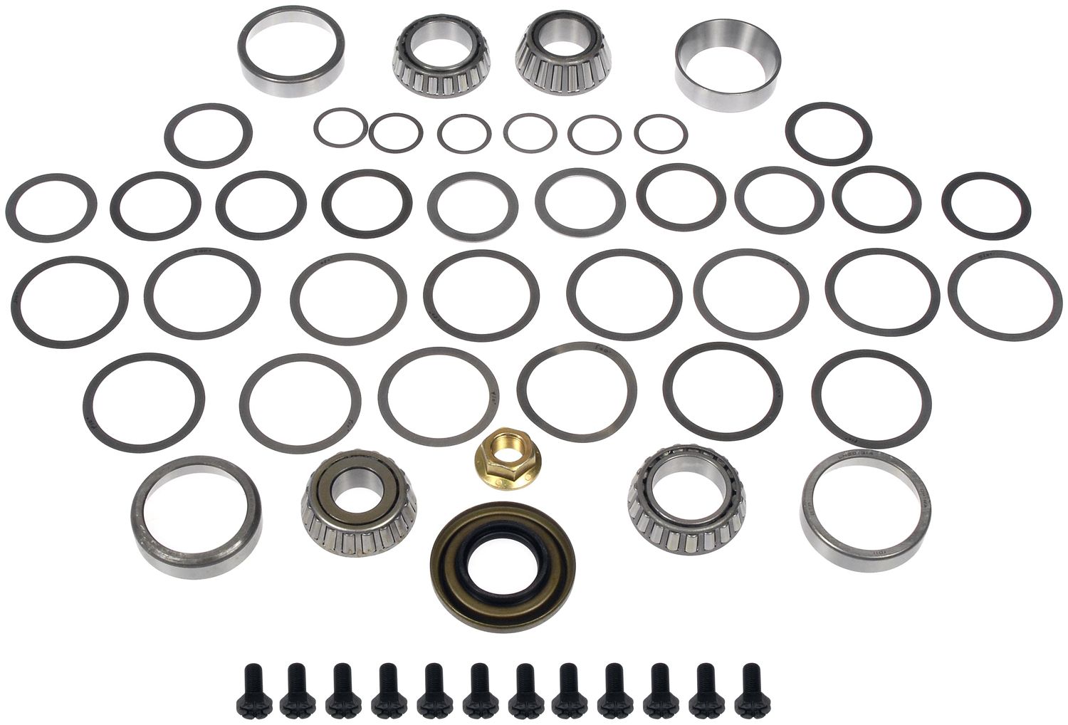 Dorman DOR-697-114 Ring And Pinion Master Bearing And Installation Kit
