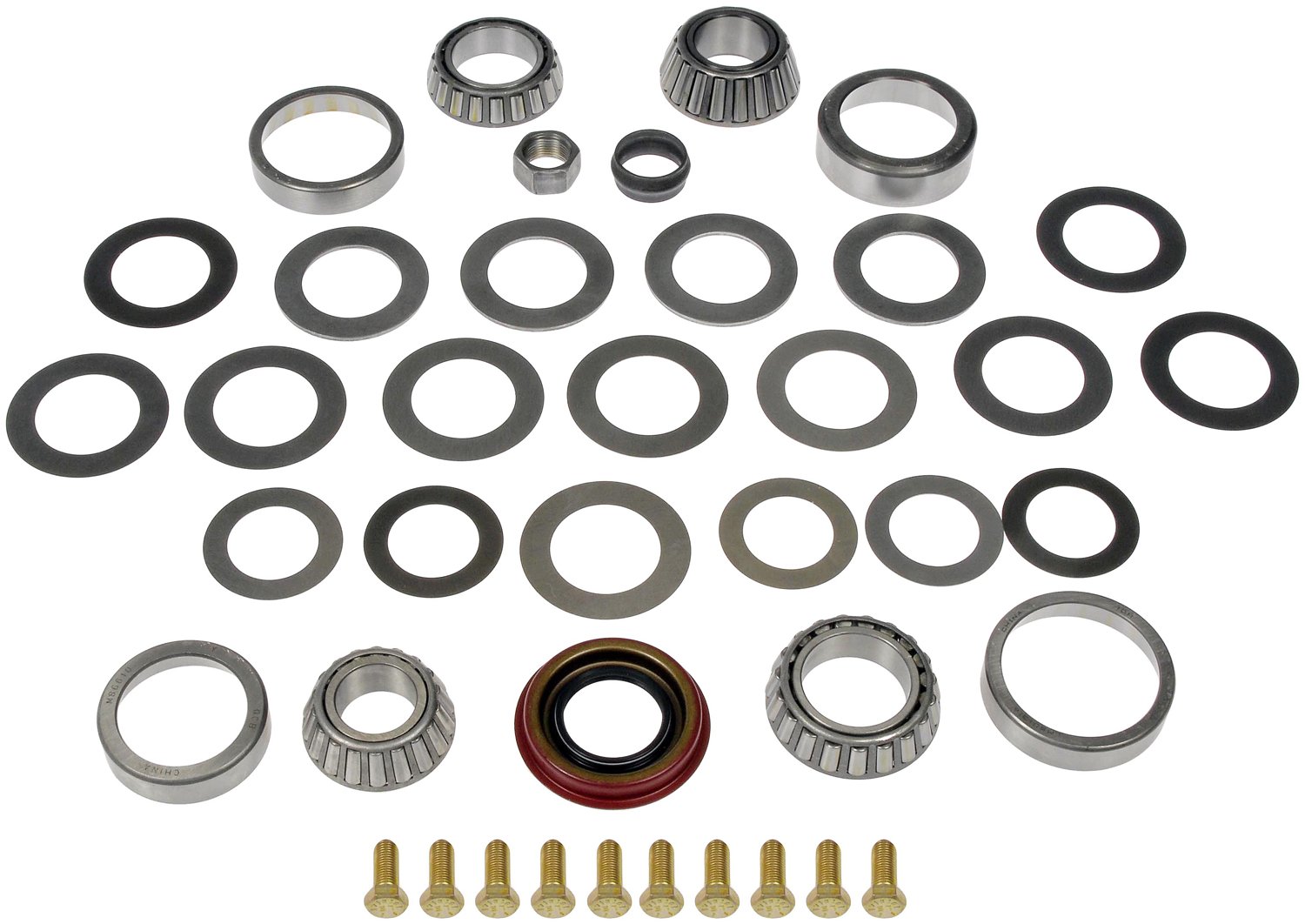Dorman DOR-697-119 Ring And Pinion Master Bearing And Installation Kit