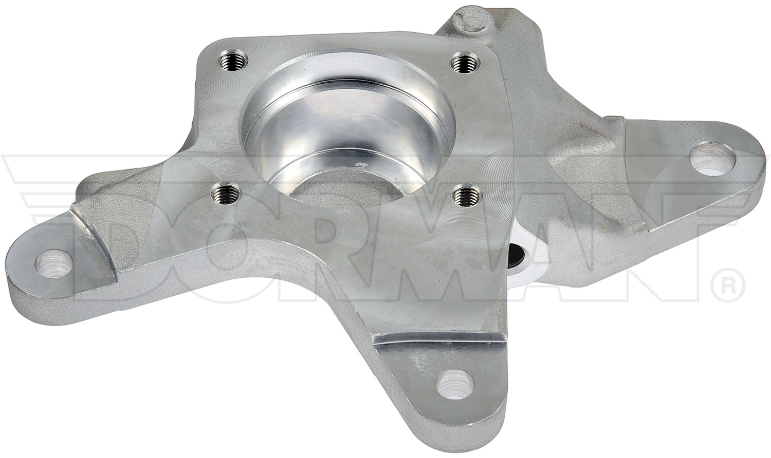 Dorman 698-079 Rear Left Knuckle
