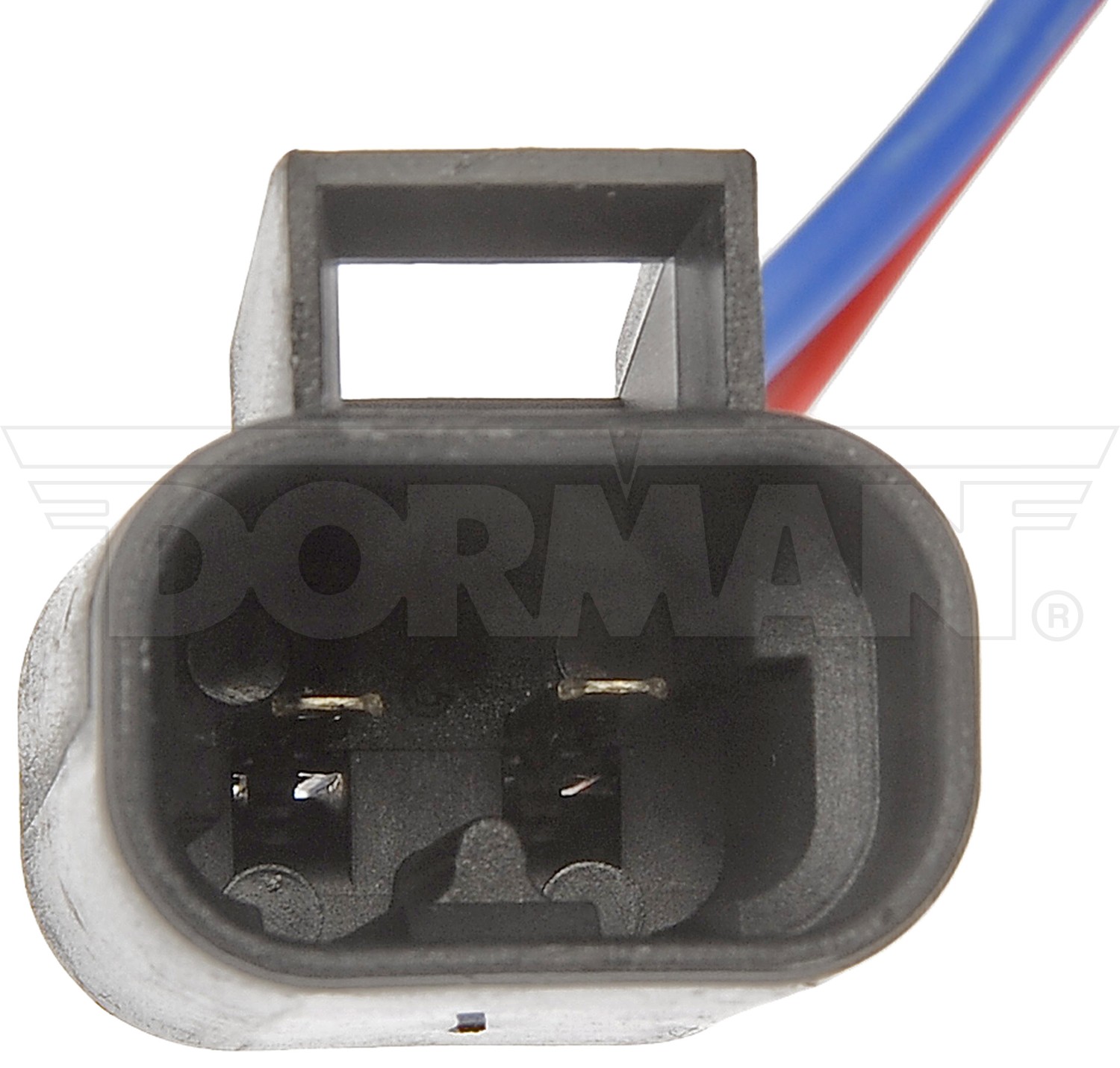 Dorman DOR-748-173 Power Window Regulator And Motor Assembly