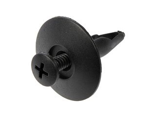 Dorman DOR-799-146 Rivet-Screw In-Hole Diameter .250 In-Head Diameter 1 In-Length .900 In