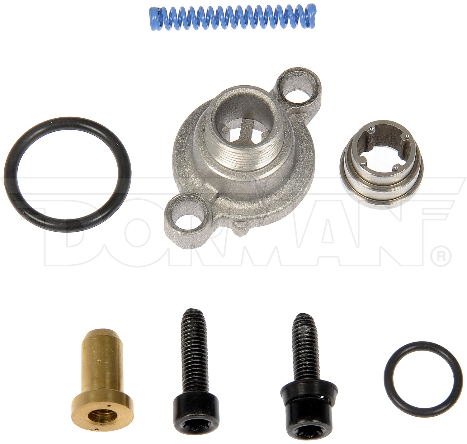 Dorman DOR-904-458 Fuel Pressure Regulator Valve Kit - Image 2