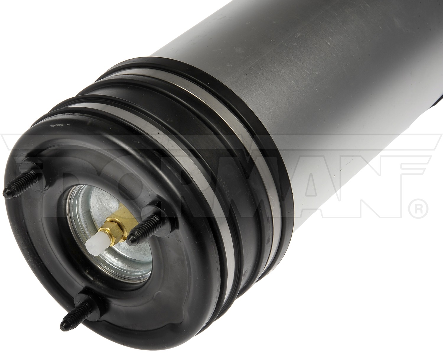 Dorman DOR-949-861 Air Suspension Air Strut Assembly