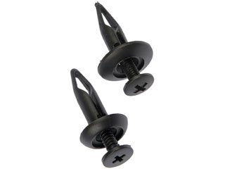 Dorman DOR-961-050 Rivet-Nylon Assortment-1/4 In. - Image 2