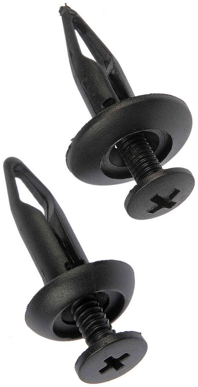 Dorman DOR-961-050 Rivet-Nylon Assortment-1/4 In.
