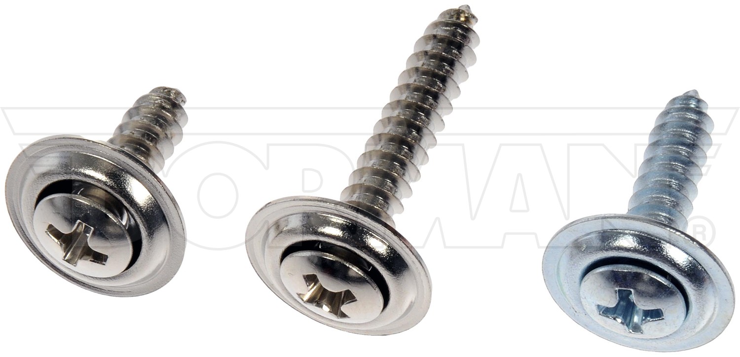 Dorman DOR-961-235D Trim Screw Assortment - Chrome - No.8, No.10