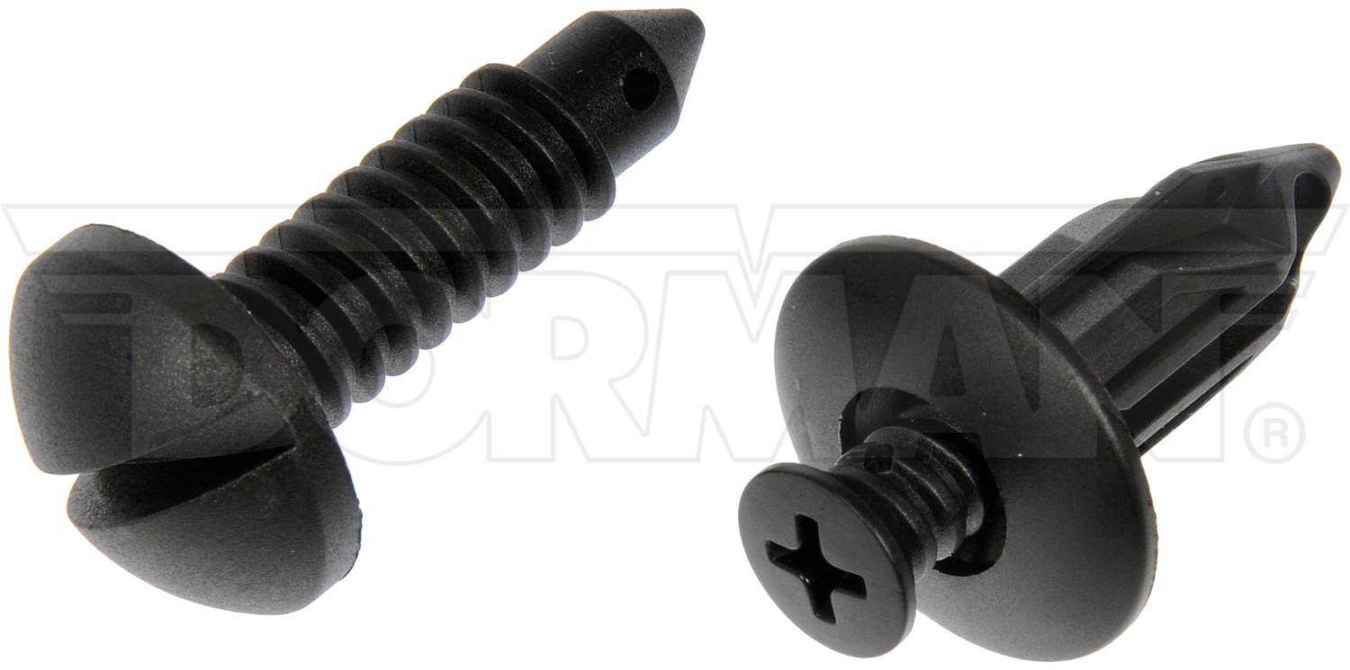Dorman DOR-961-368D Nylon Screw And Retainer Assortment