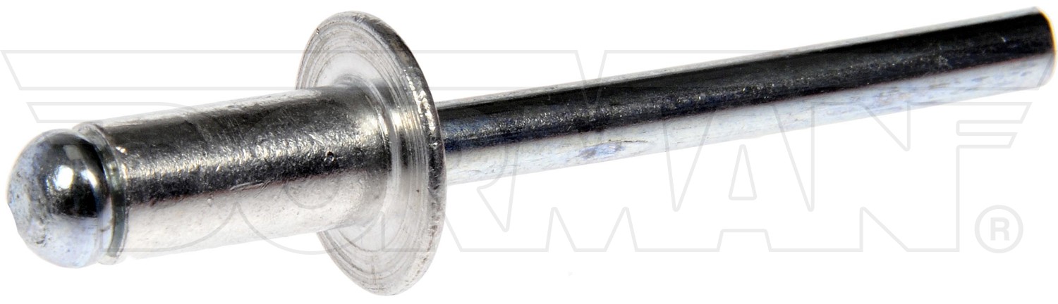 Dorman DOR-963-204D GM Bumper Blind Rivet - Diameter 6.35mm