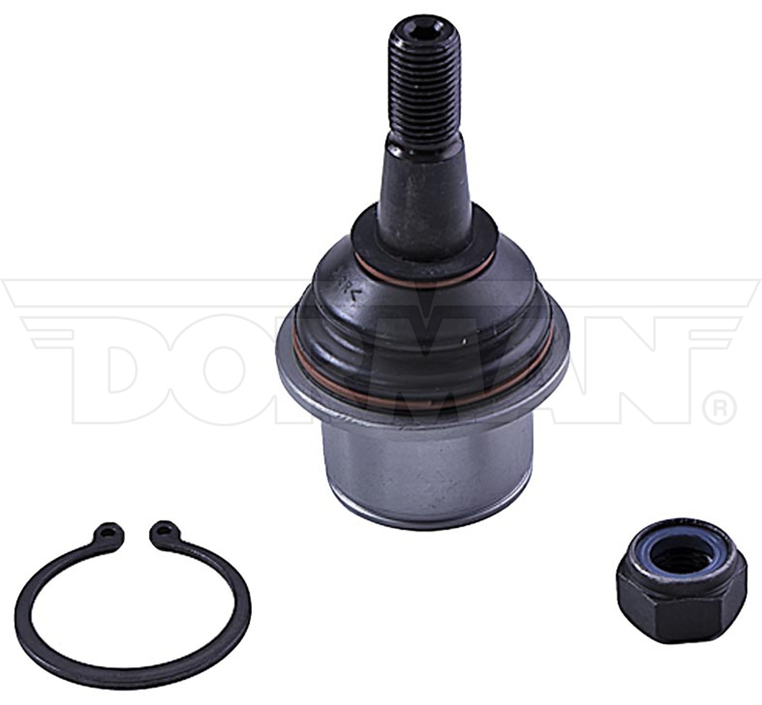 Dorman BJ82285XL Suspension Ball Joint