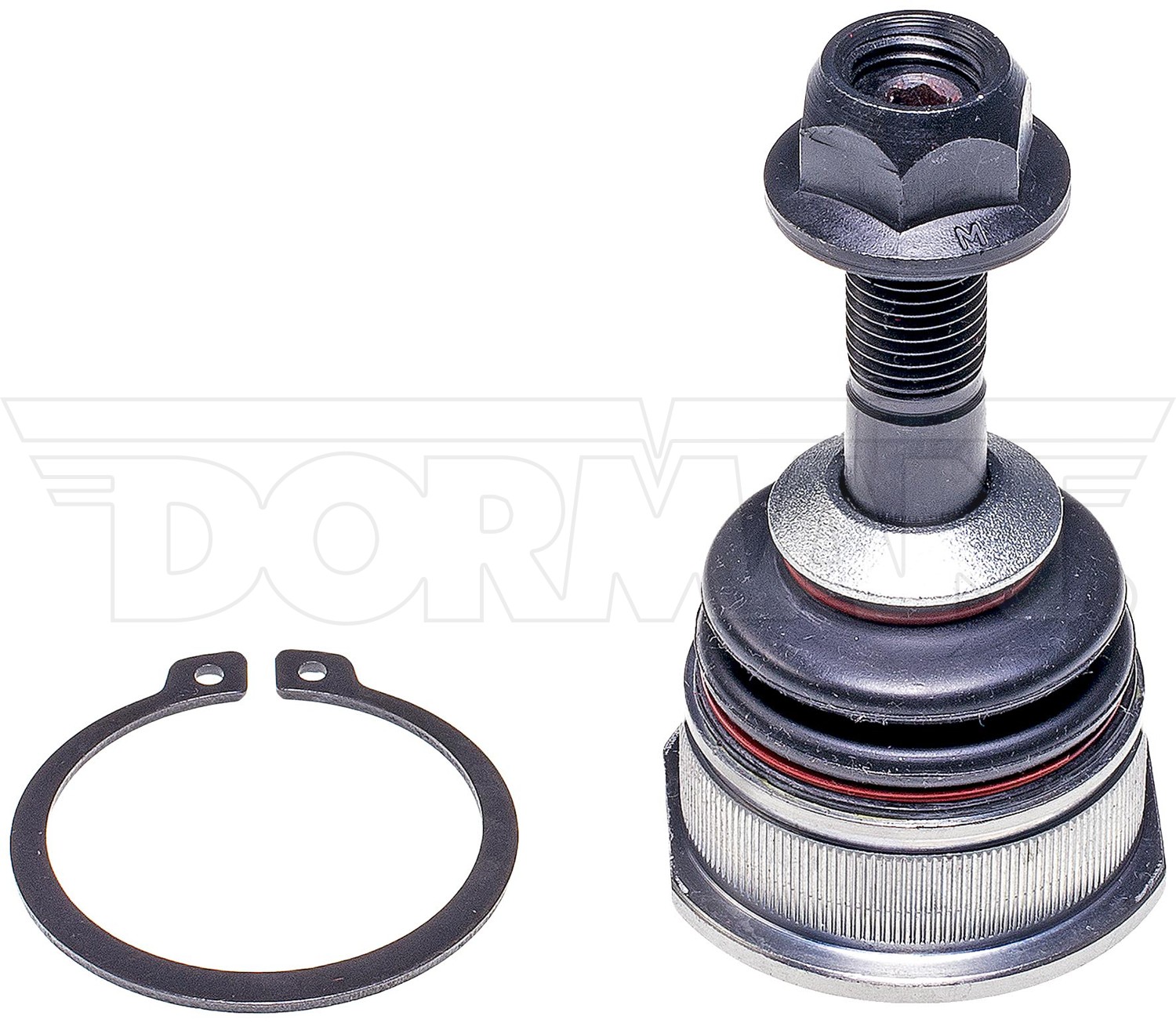Dorman BJ85036XL Suspension Ball Joint