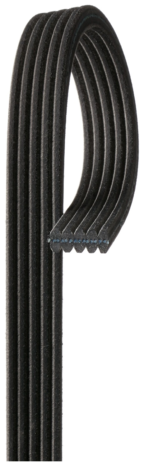 Gates DK050610 Micro-V Dual-Sided Serpentine Drive Belt - Image 4
