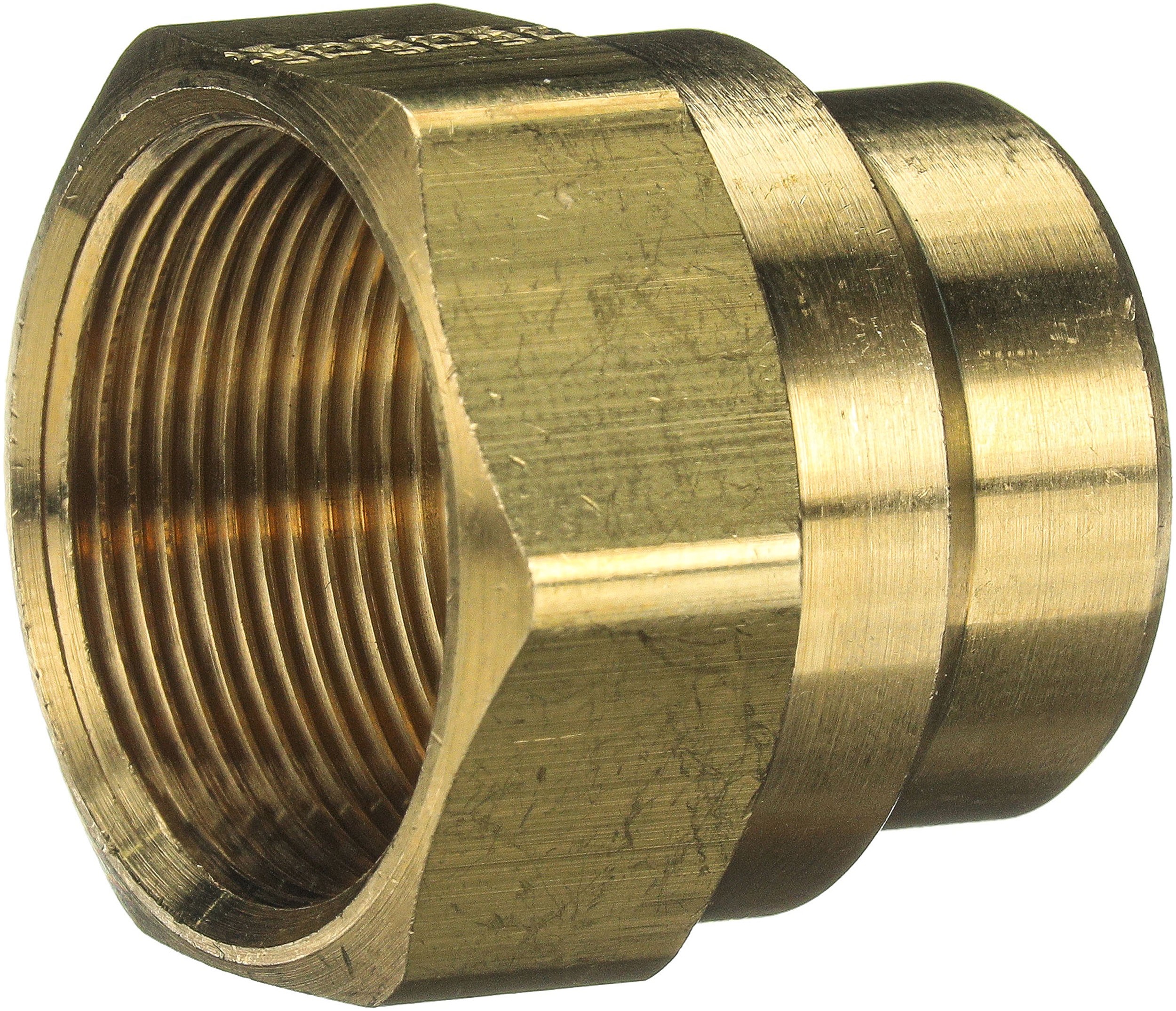 Gates G33060-0008 Nut (Air Brake for Rubber Hose)