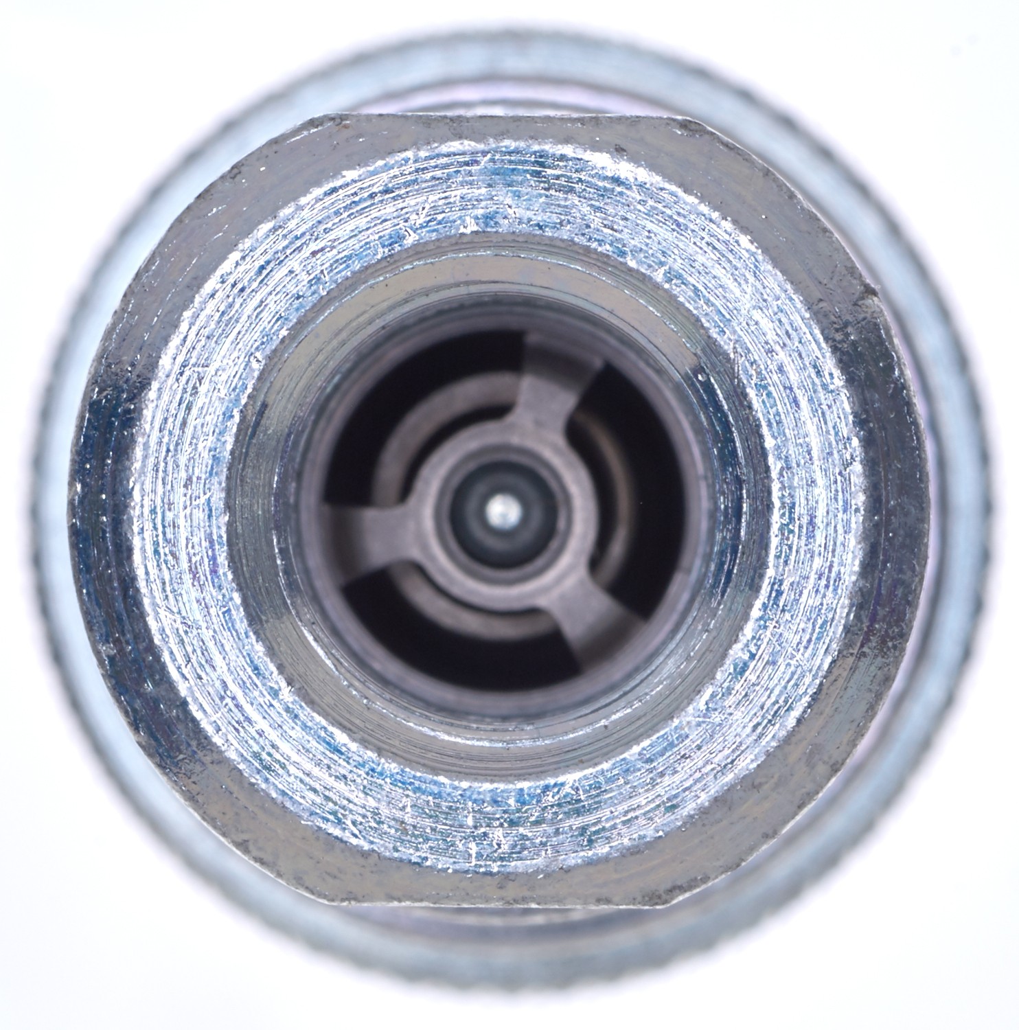 Gates G945210606 Female Poppet Valve to Female Pipe (G945 Series) - Image 3