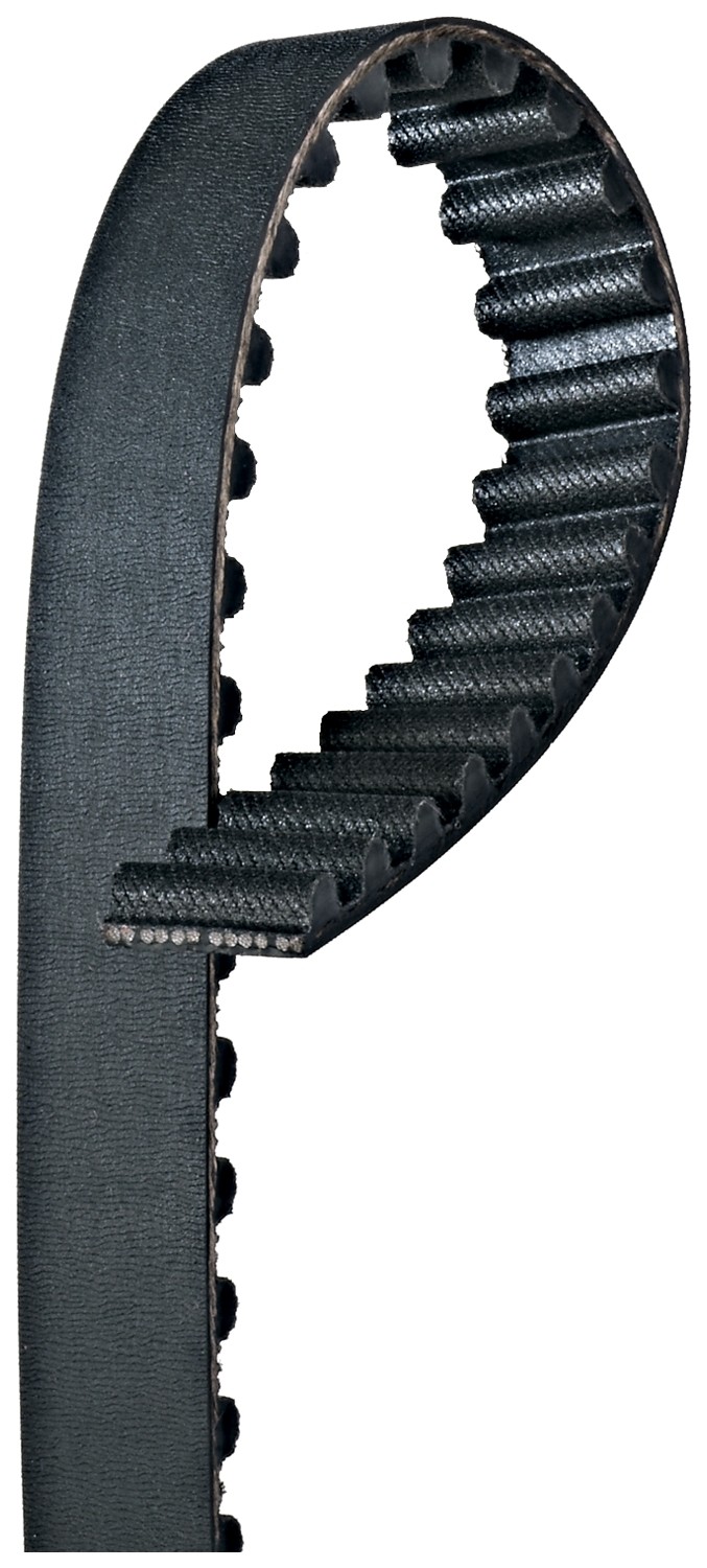 Gates T081 Premium Automotive Timing Belt - Image 4
