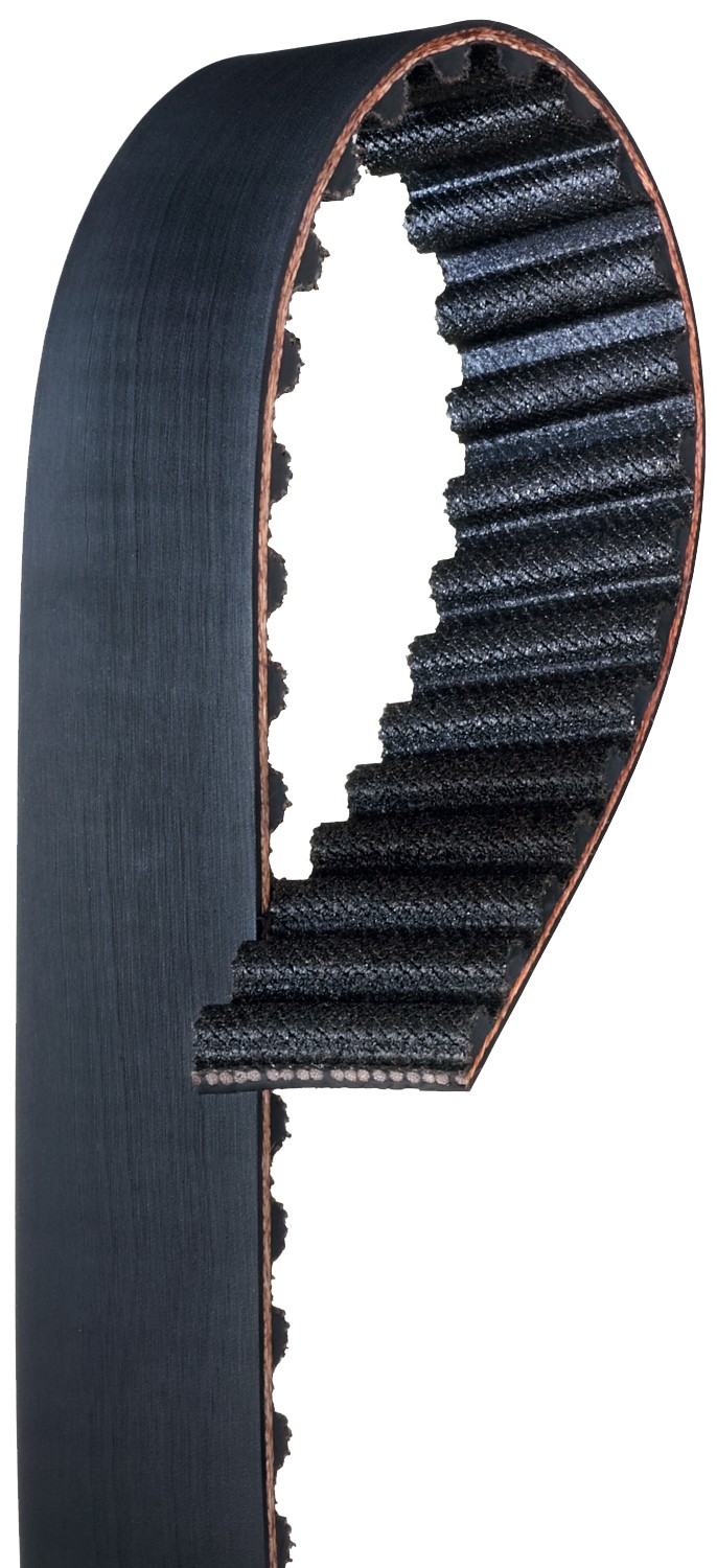 Gates T242 Premium Automotive Timing Belt - Image 3