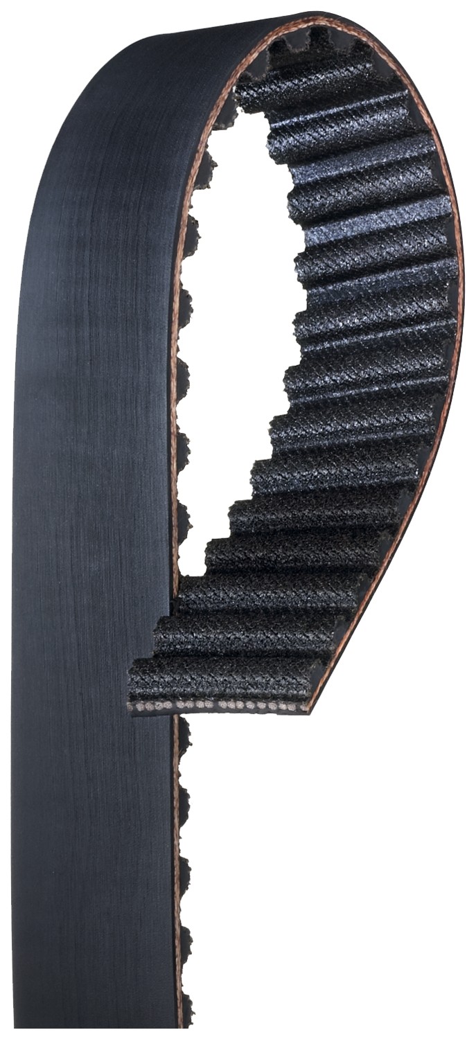Gates T242 Premium Automotive Timing Belt - Image 5