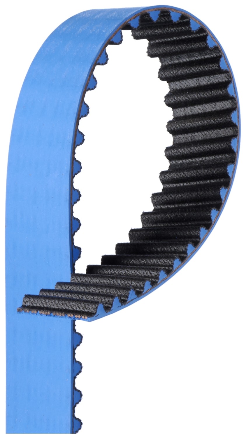 Gates T244RB RPM High Performance Timing Belt - Image 5