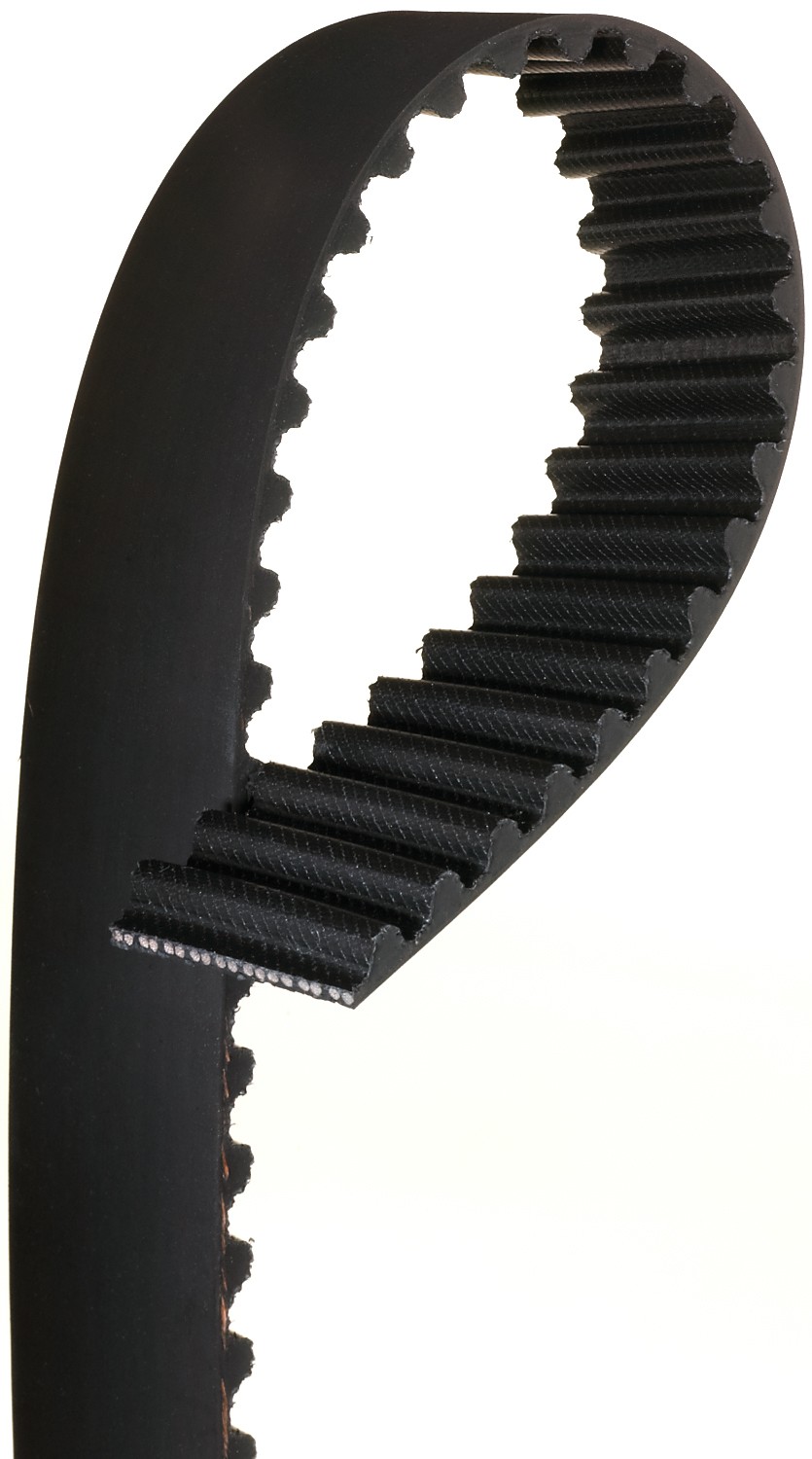 Gates T244 Premium Automotive Timing Belt - Image 3