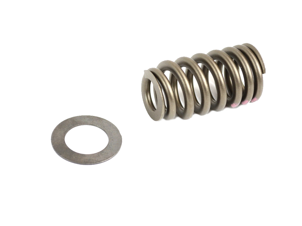 Mopar 68080909AB SPRING KIT, Valve
