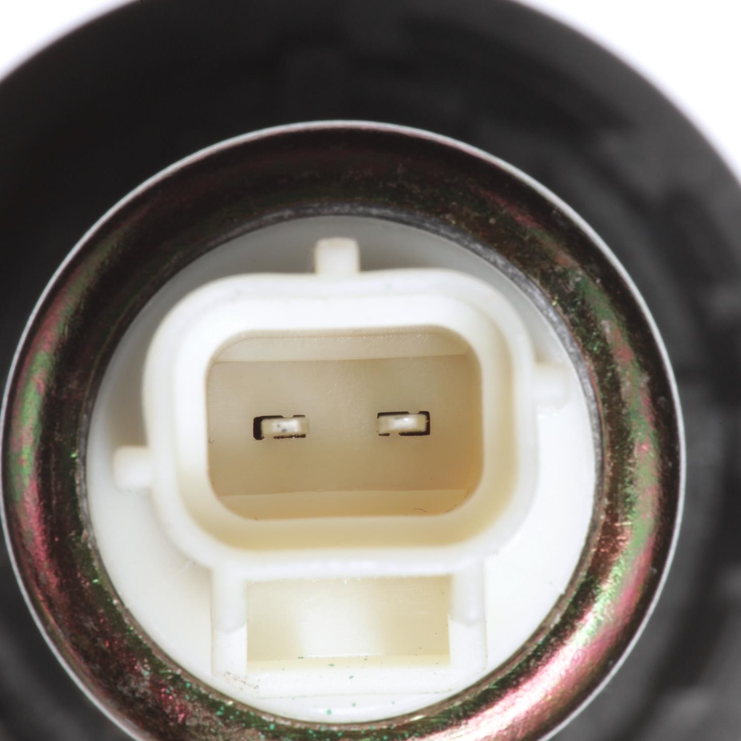 Standard CVS15 Canister Vent Solenoid