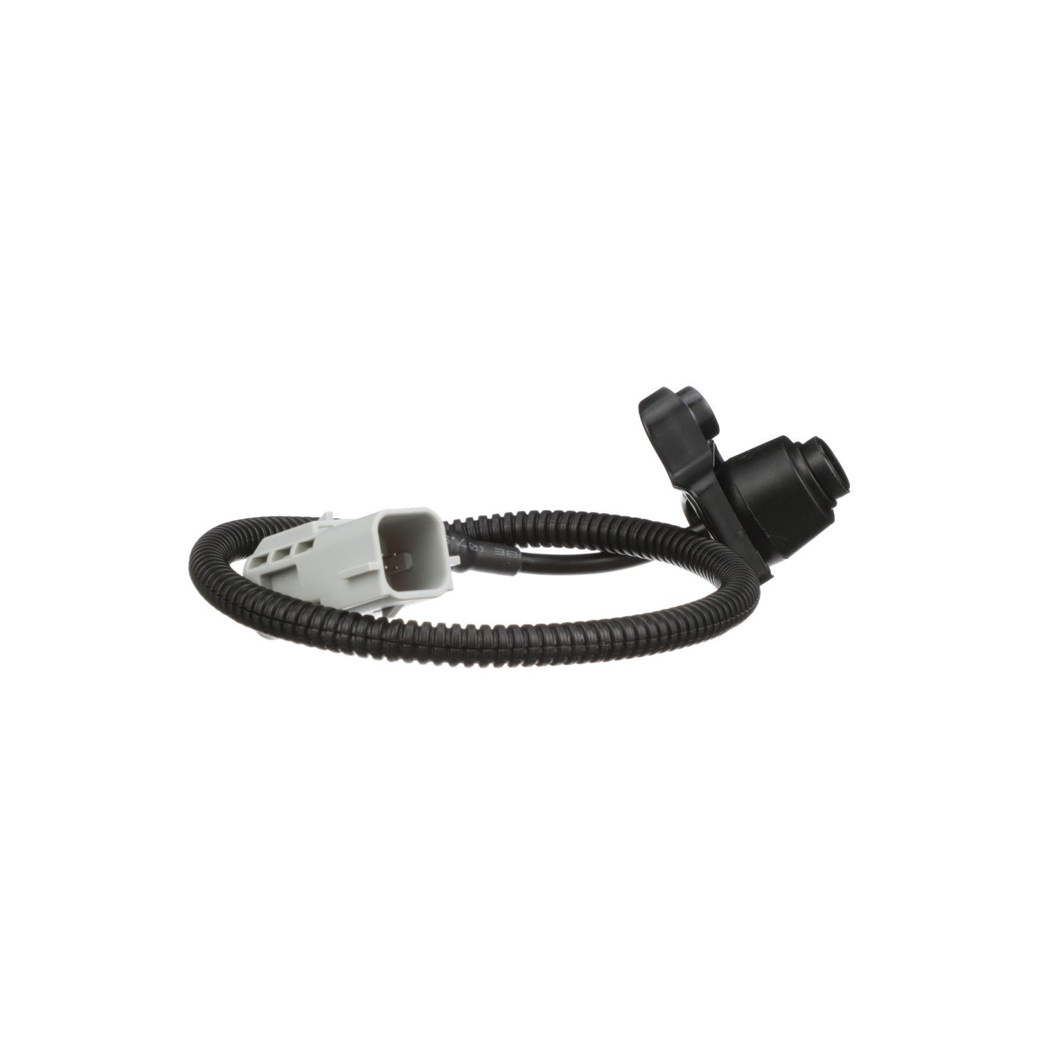 Standard PAC181 Park Assist Camera