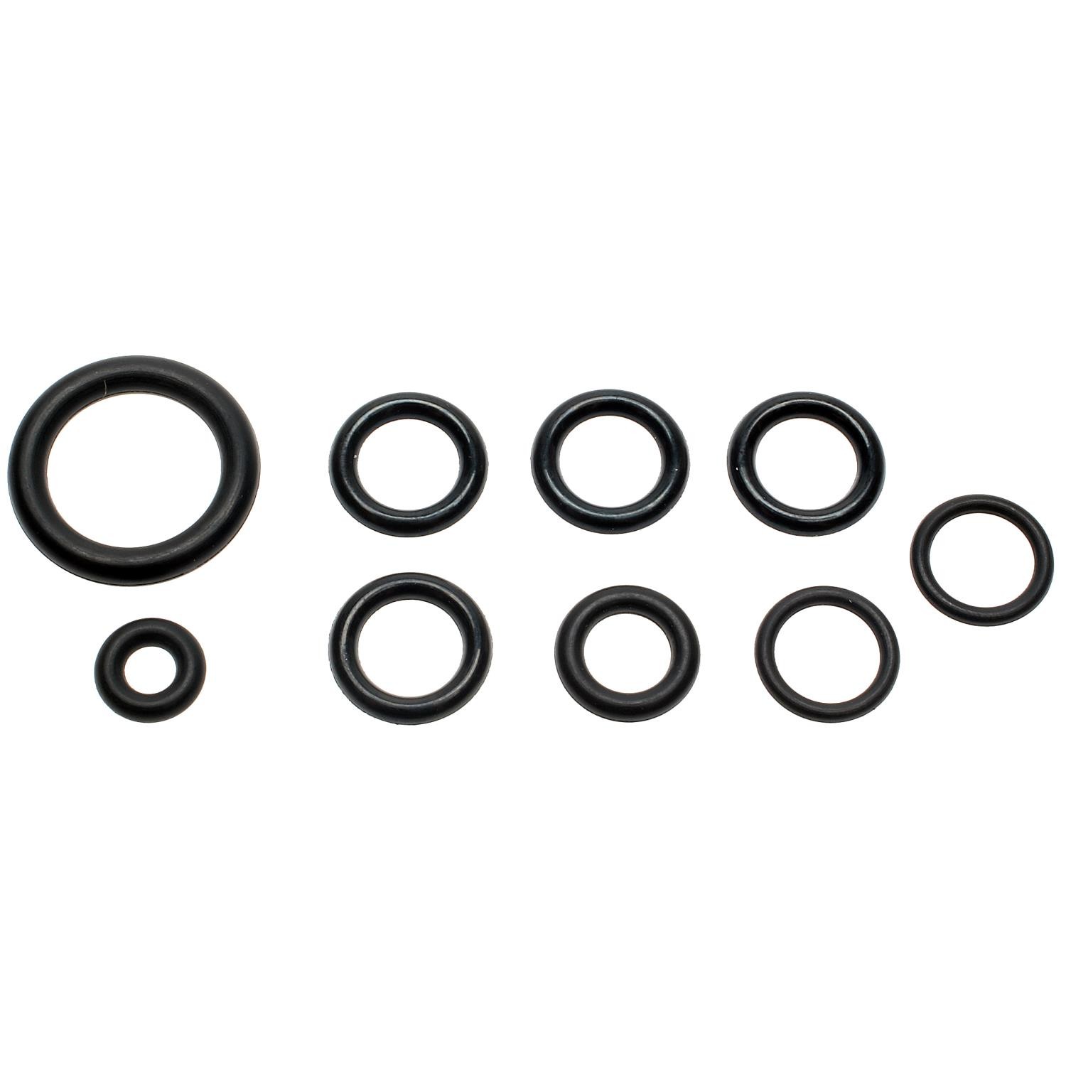 Standard SK24 Fuel Rail O-Ring Kit